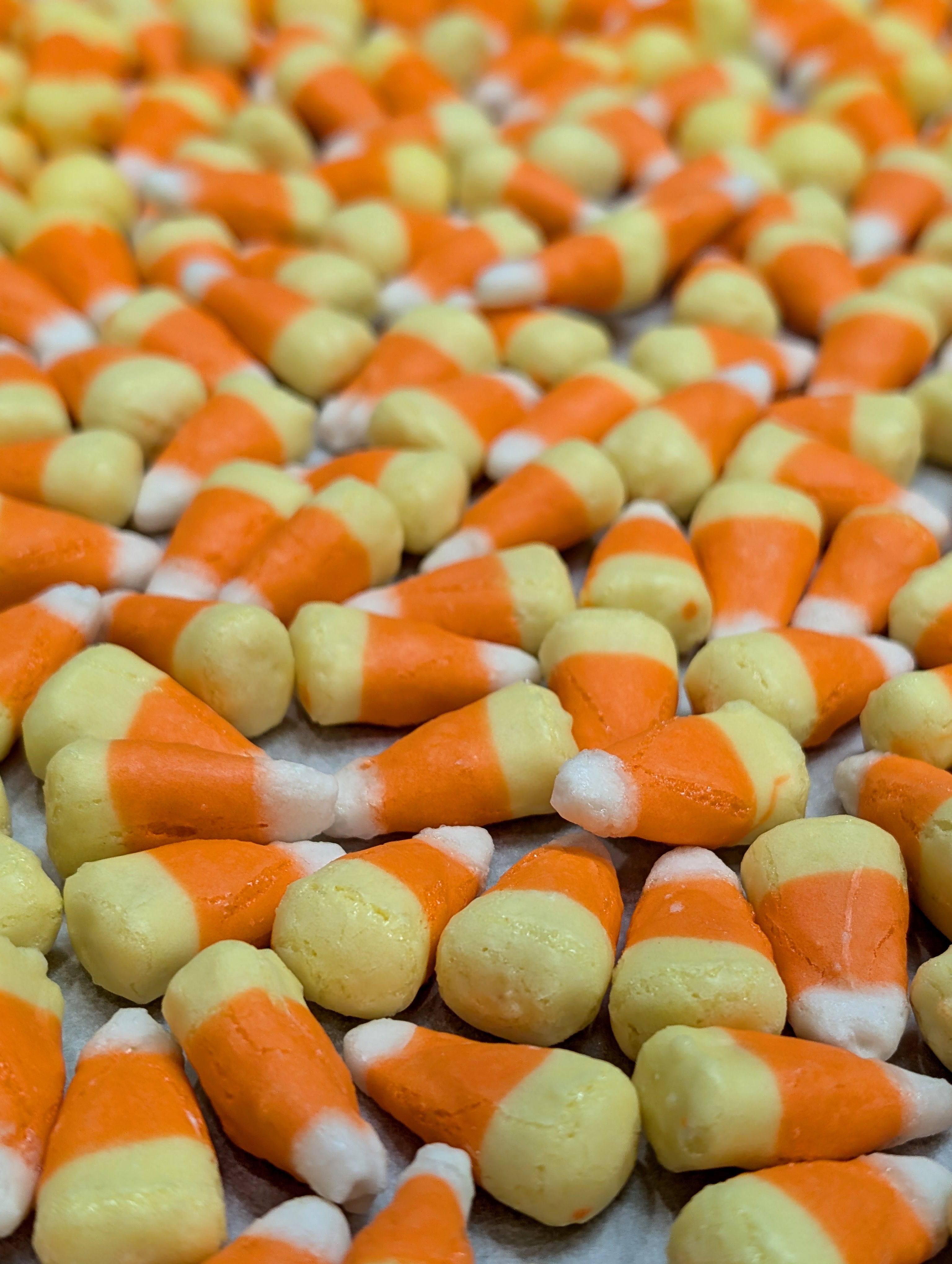 Freeze-Dried Halloween / Fall Candy Corn